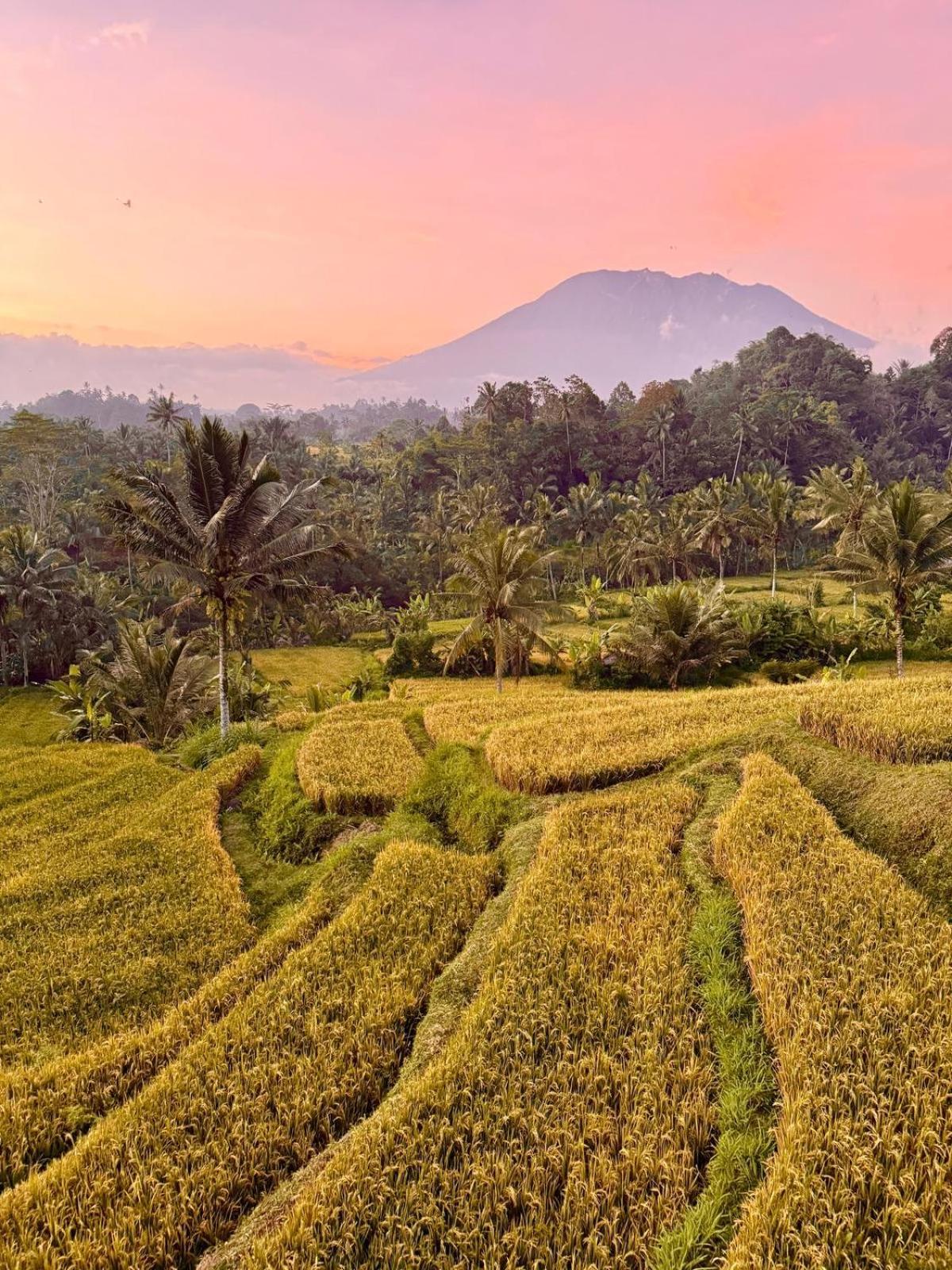 Bisbis House Iseh Village Selat Buitenkant foto